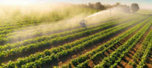 Contact LPC Naturals